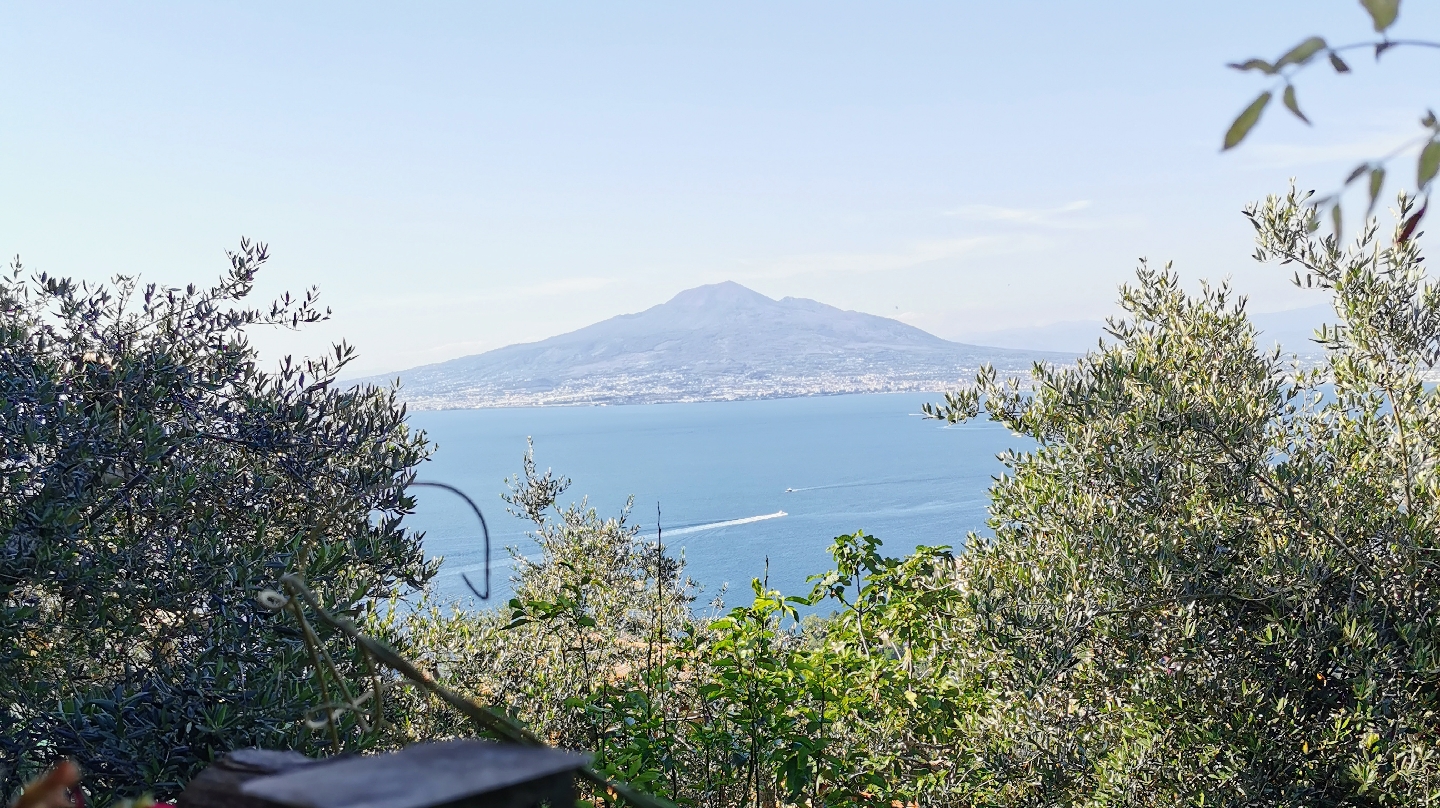 Villa Rosa - La casa di Lella