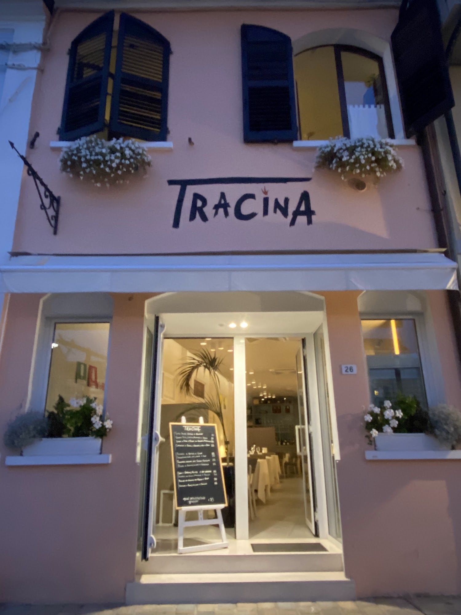 Tracina