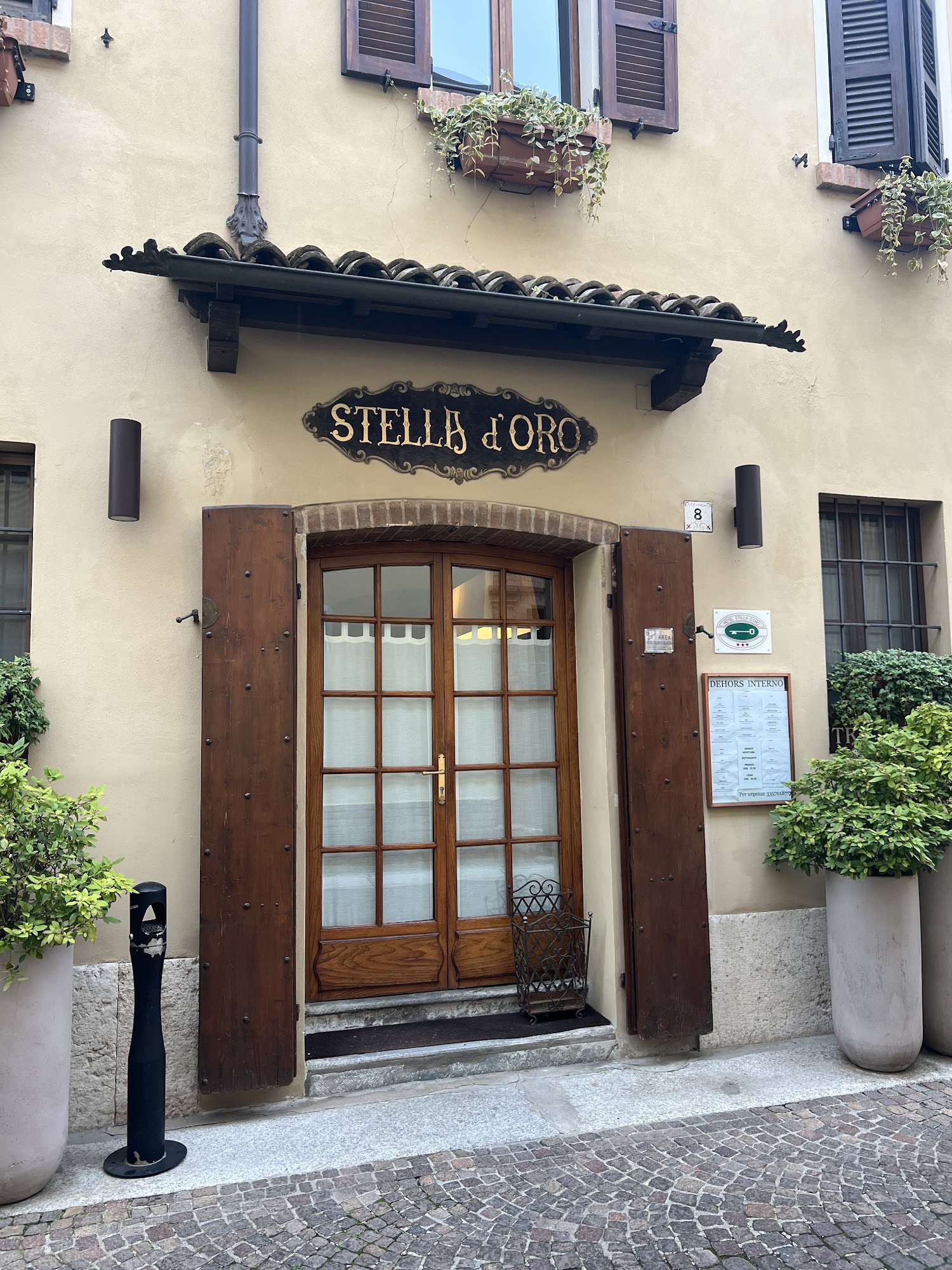 Stella d'Oro