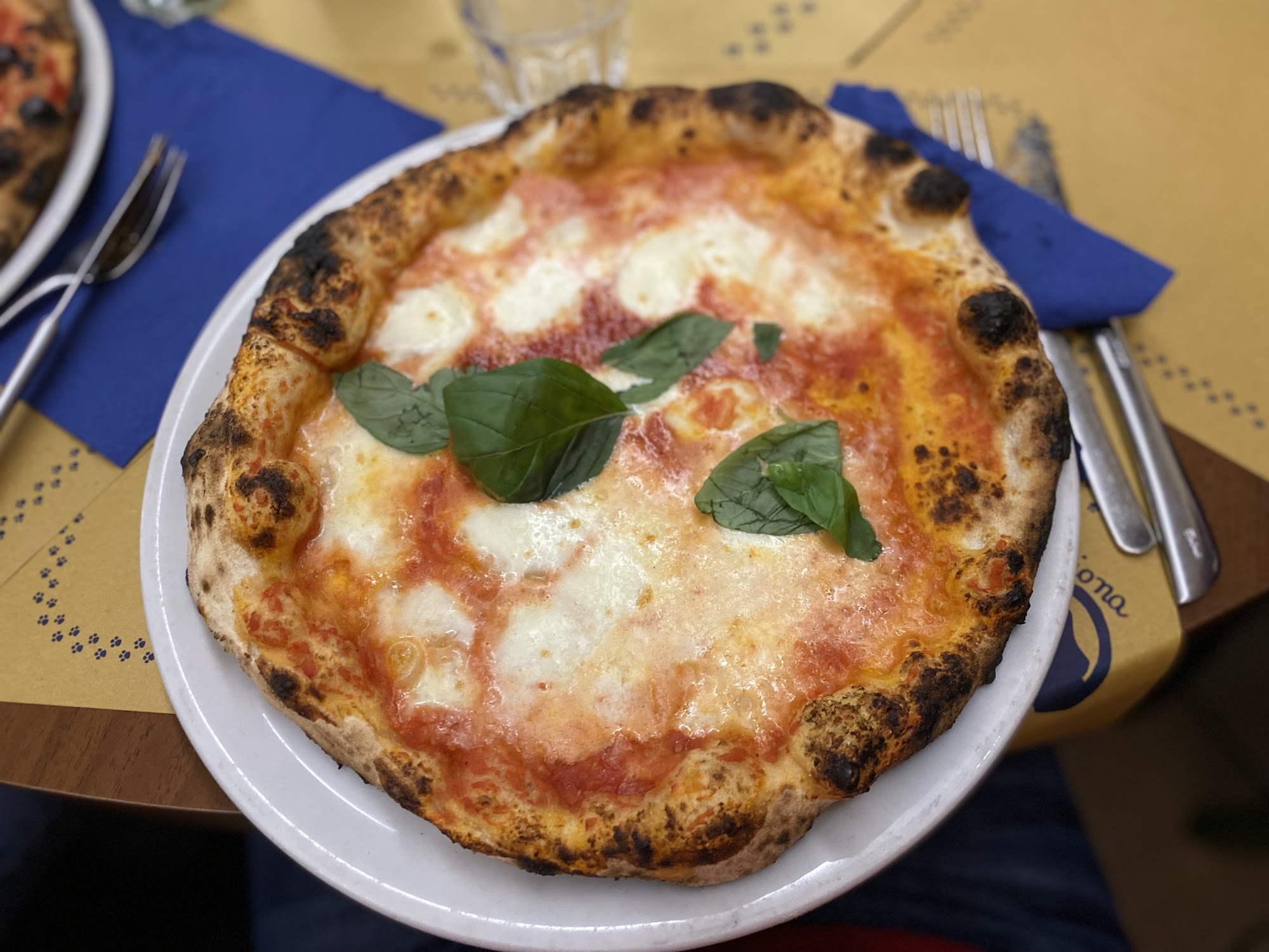 La Gatta Mangiona