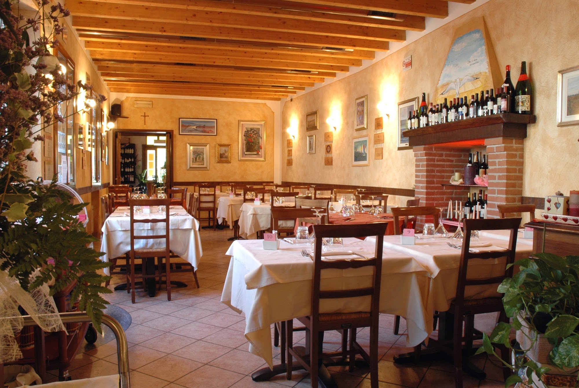 Gabbiano 1983