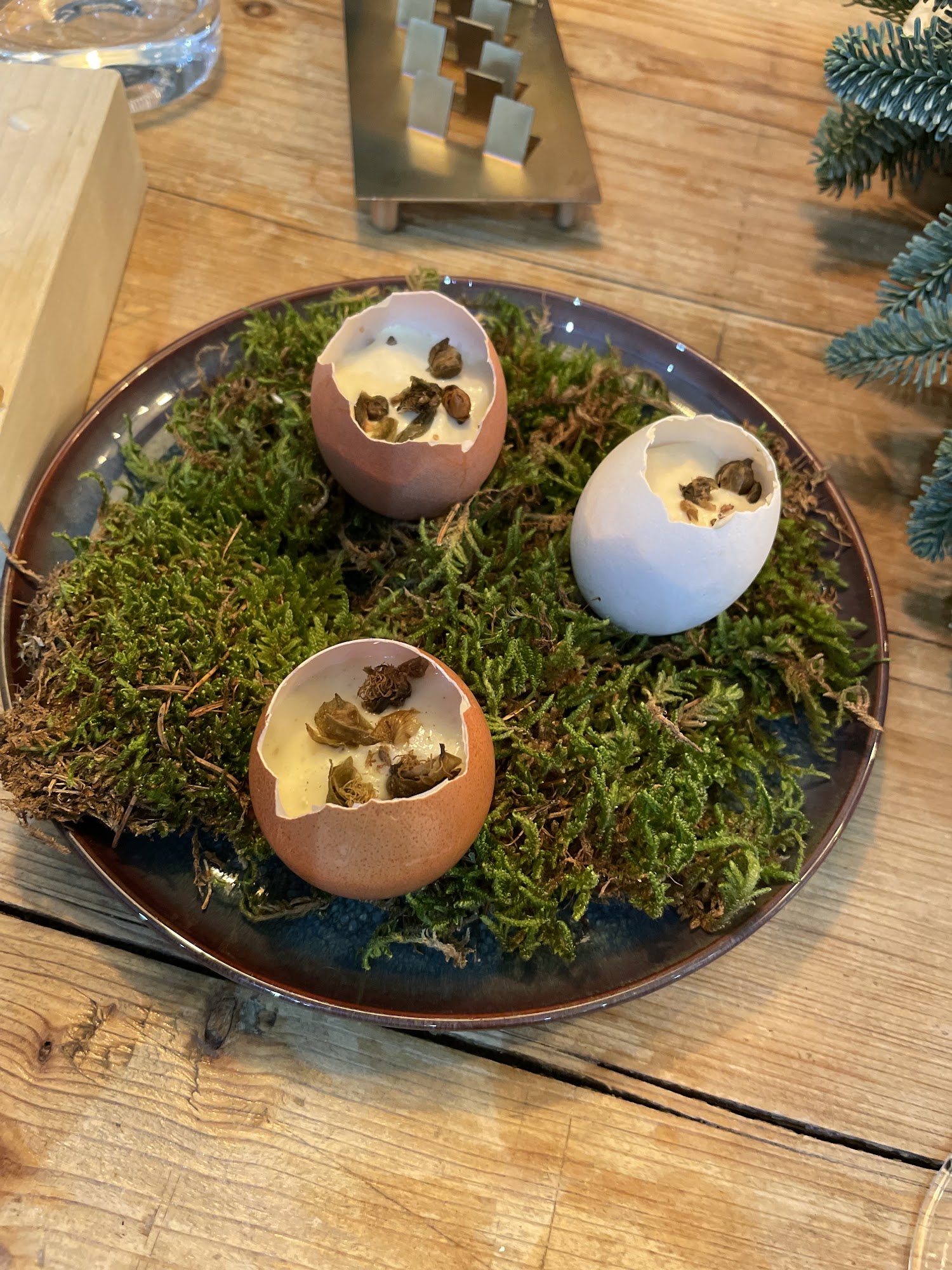 Morelli all'Hotel Viu Milan