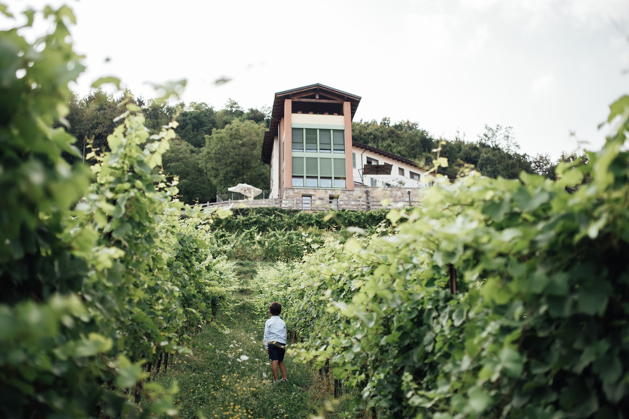 Polisena l'Altro Agriturismo