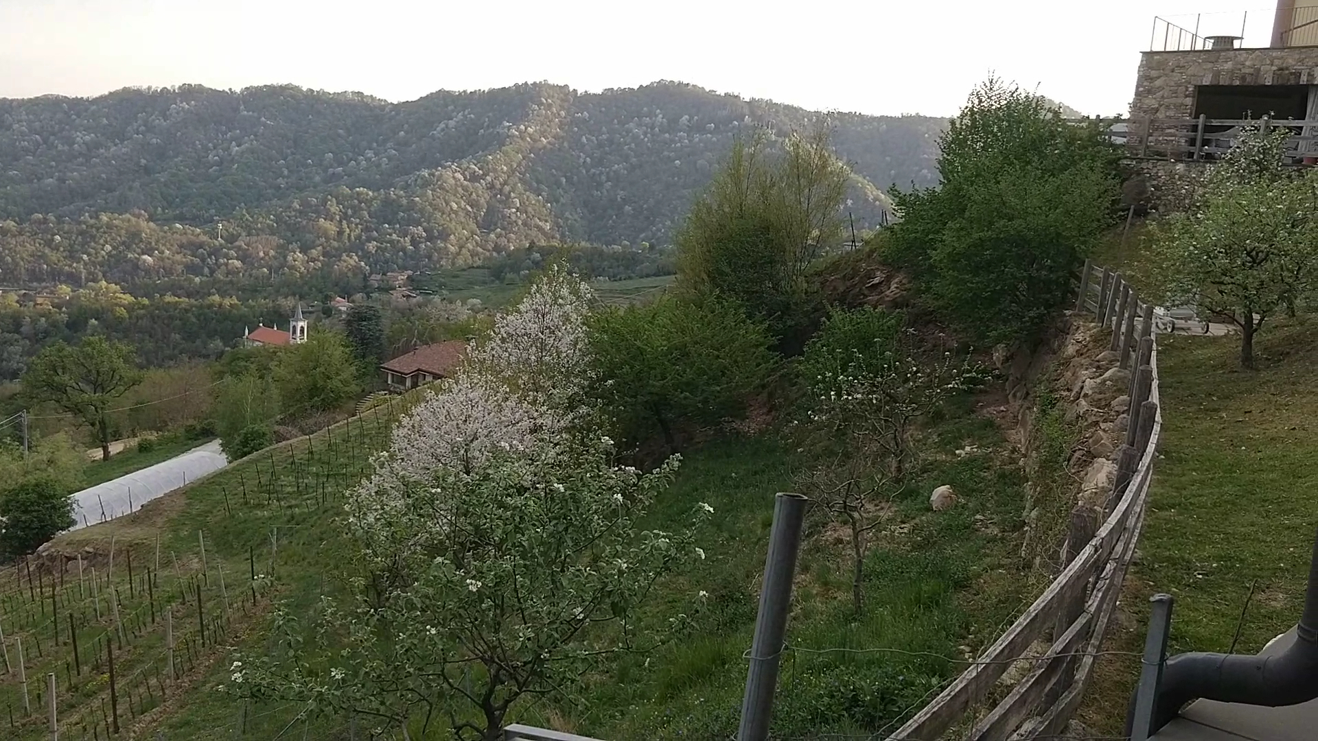 Polisena l'Altro Agriturismo