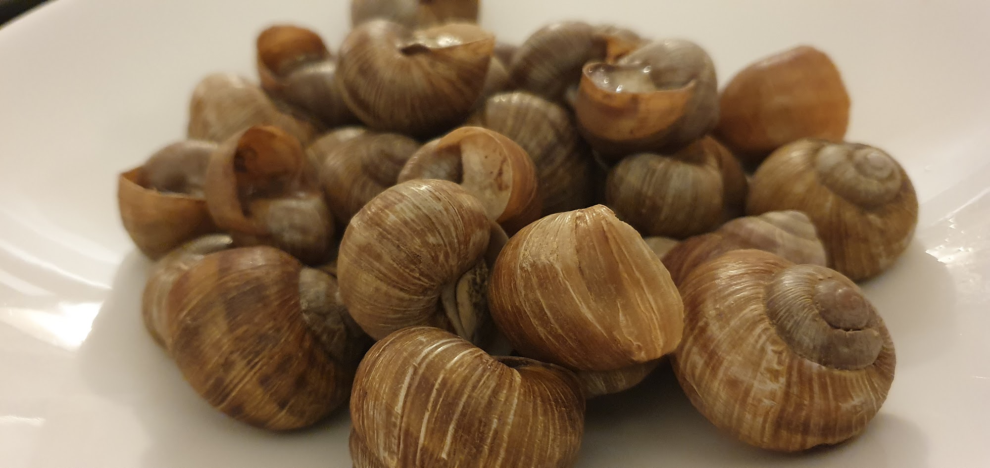 Antica Trattoria Gabri