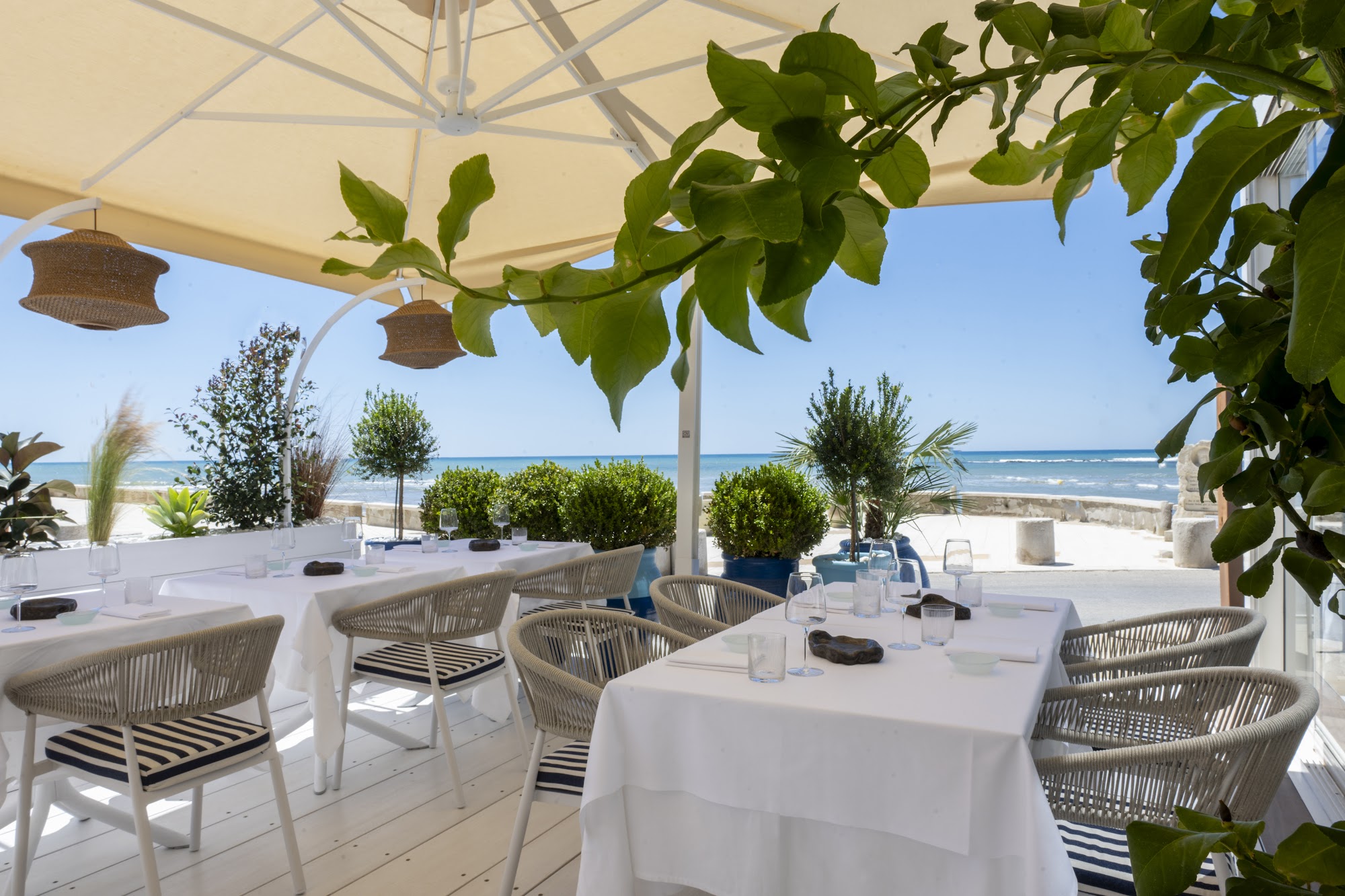 Scjàbica Cuoco Pescatore