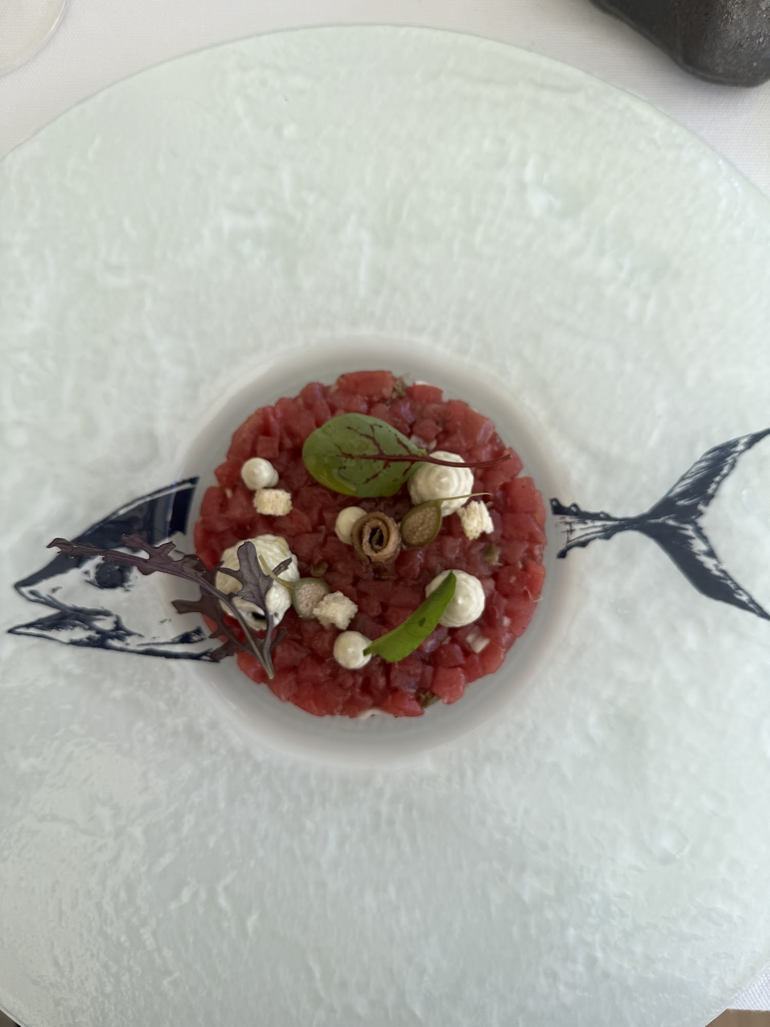 Scjàbica Cuoco Pescatore