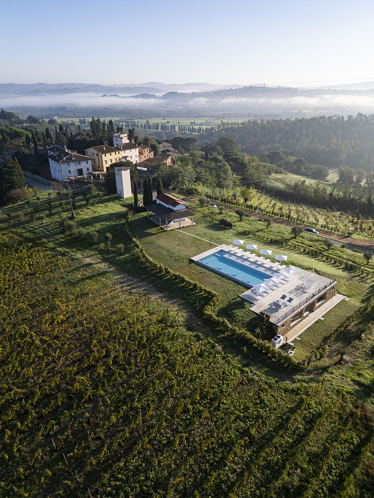 Cannavacciuolo Vineyard