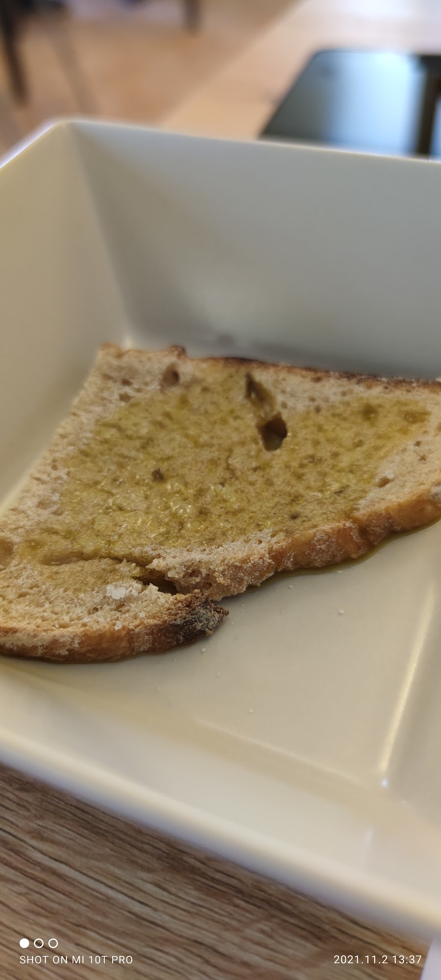 Il Grillo è Buoncantore