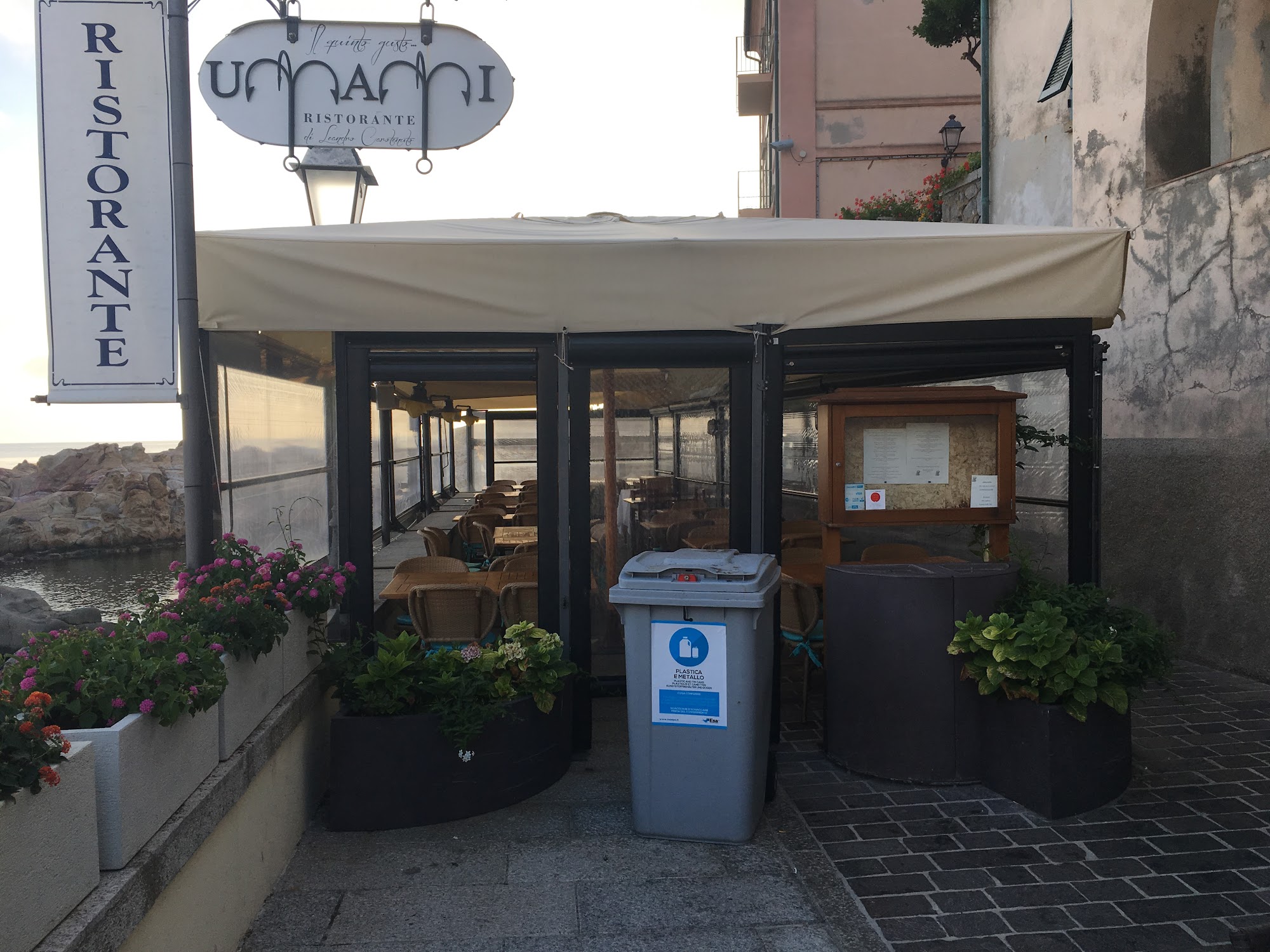 Umami
