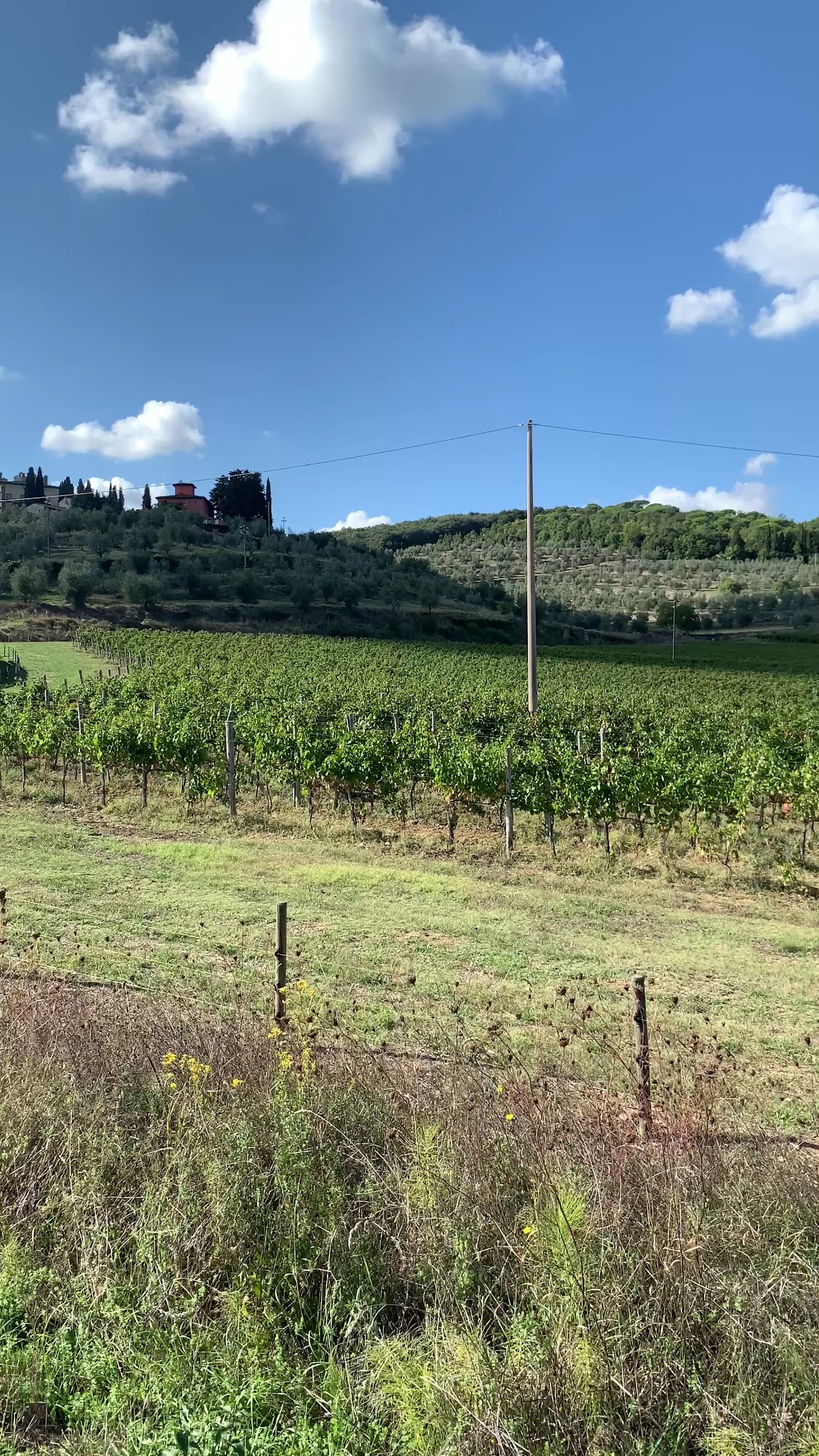 Osteria di Torre a Cona