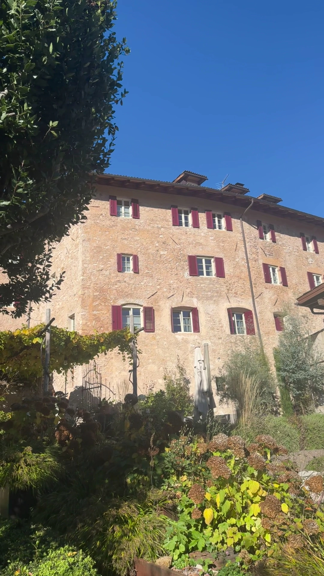 Taberna Romani