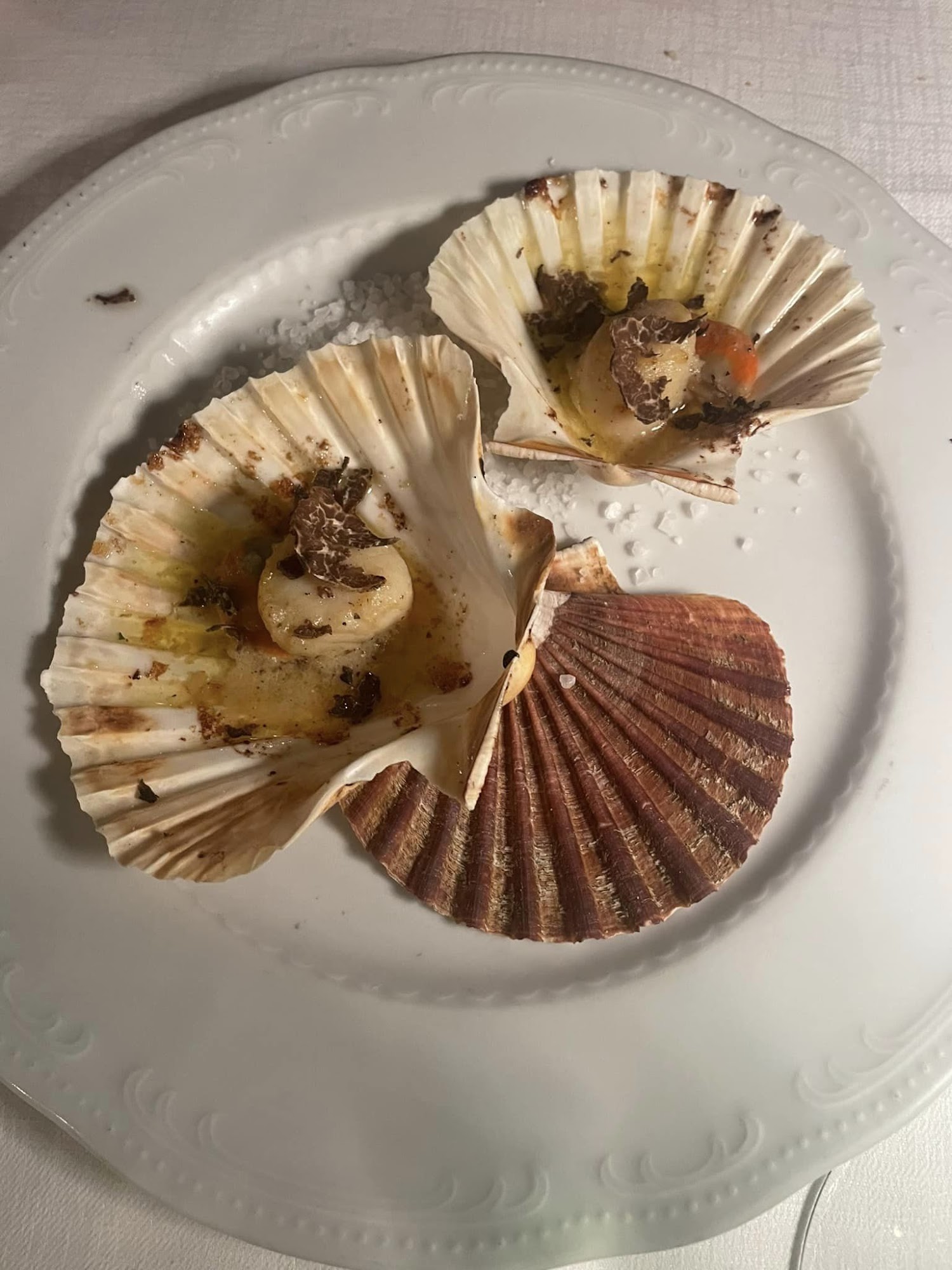 Al Leone di San Marco