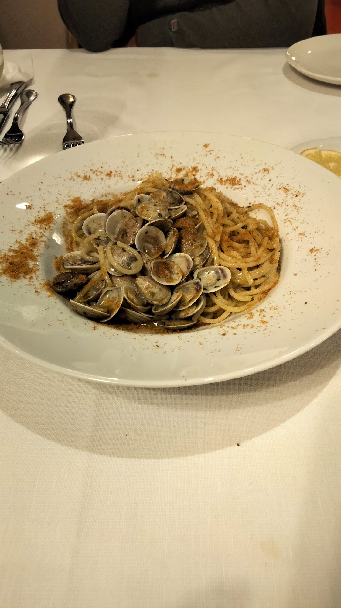 Menegaldo