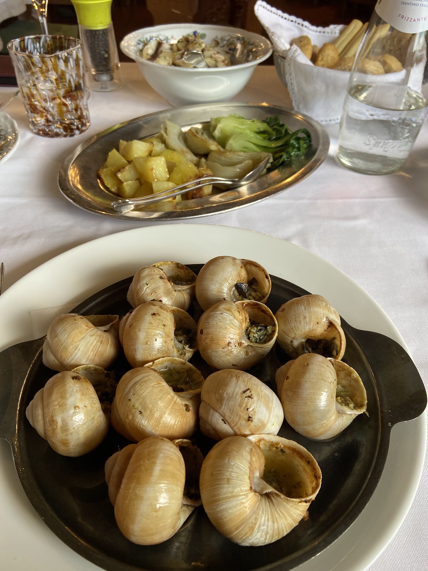 Stella d'Italia